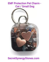 EMF/5G Protection Pet Charm Cat/Small Dog