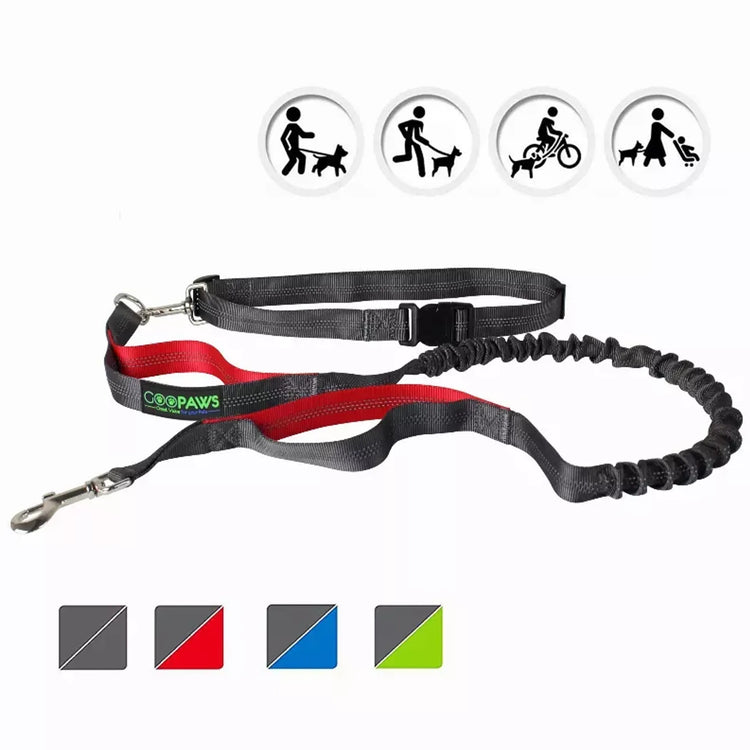 JESPET Hands Free Dog Leash