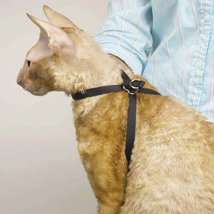 TP Adjustable Nylon Grooming Cat Harness 40''