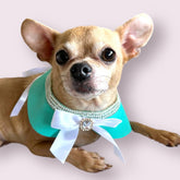 Sniffany Blue Neck Dog Collar