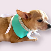 Sniffany Blue Neck Dog Collar