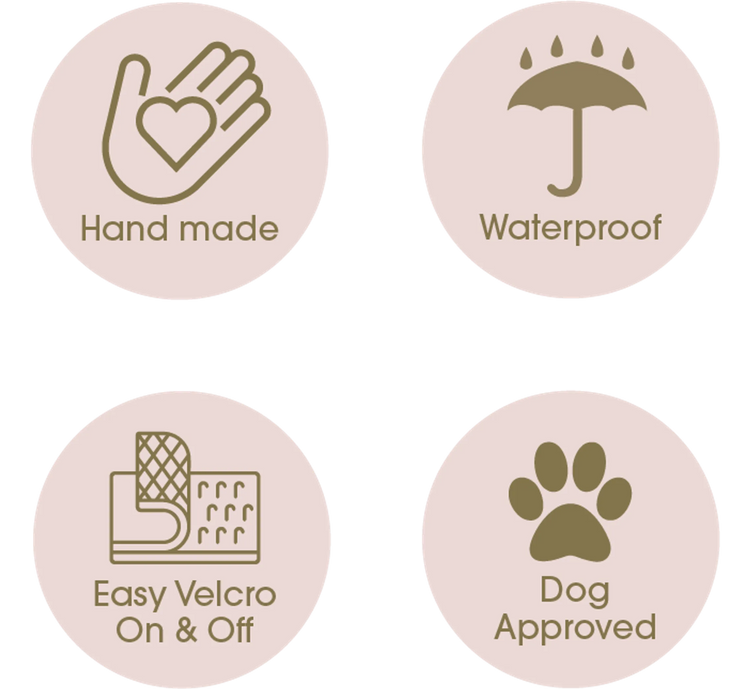 DCNY Belted Trench Coat