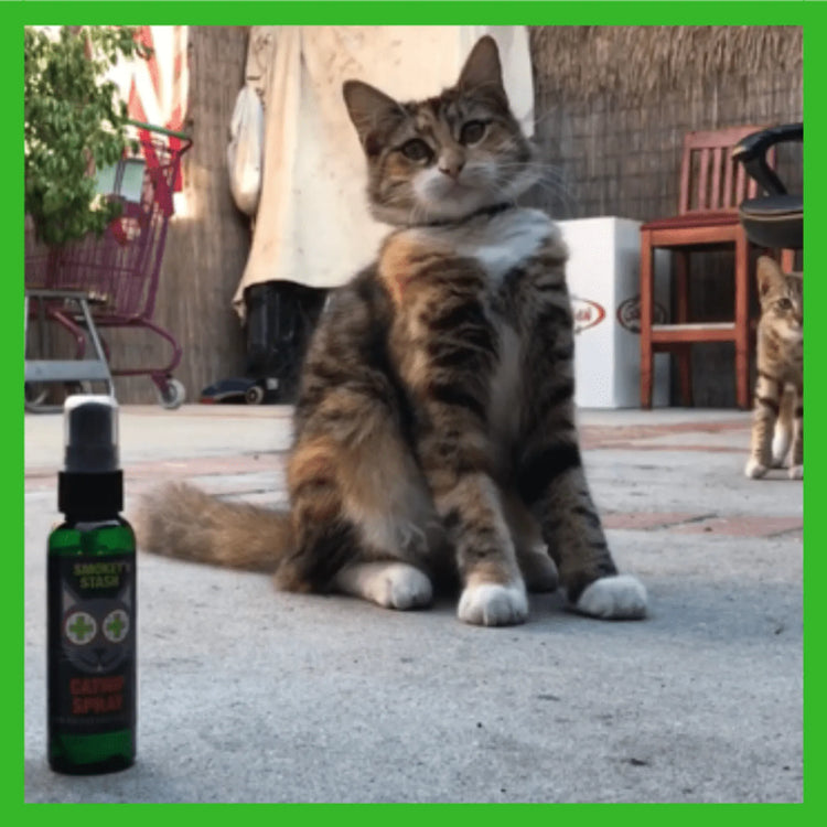 Smokey's Stash Premium Catnip Spray Bottle - Natural Cat Attractant for Playful Felines