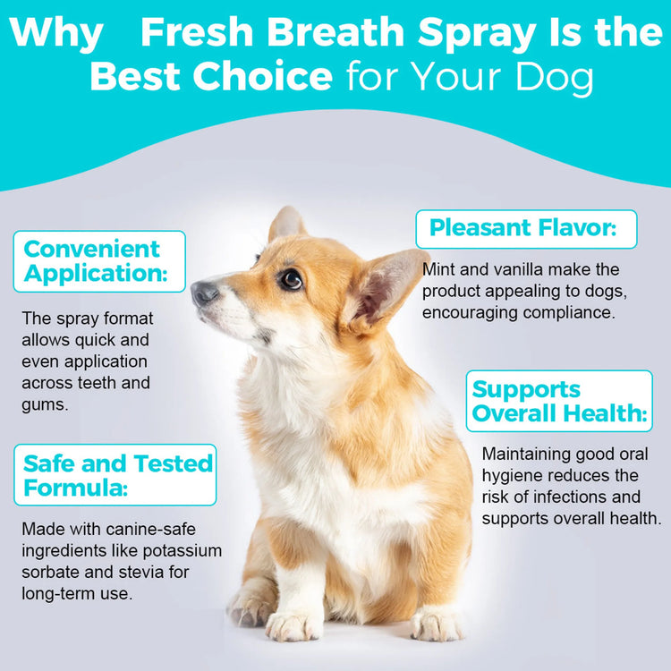 Fresh Breath Spray - 30mL