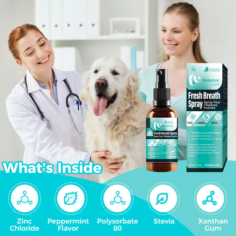 Fresh Breath Spray - 30mL