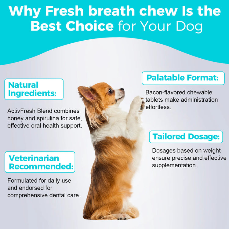 Fresh Breath Chew - 30 Chews