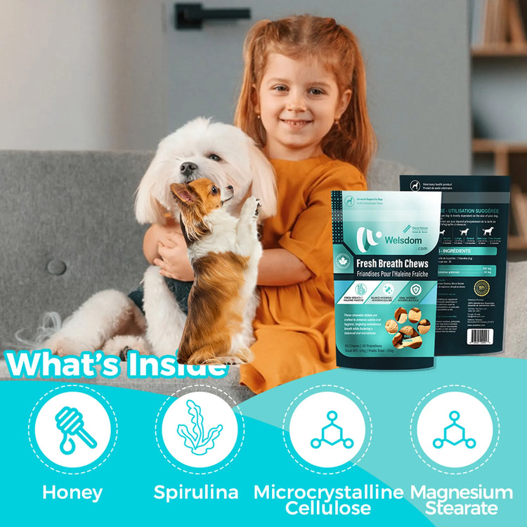 Fresh Breath Chew - 30 Chews