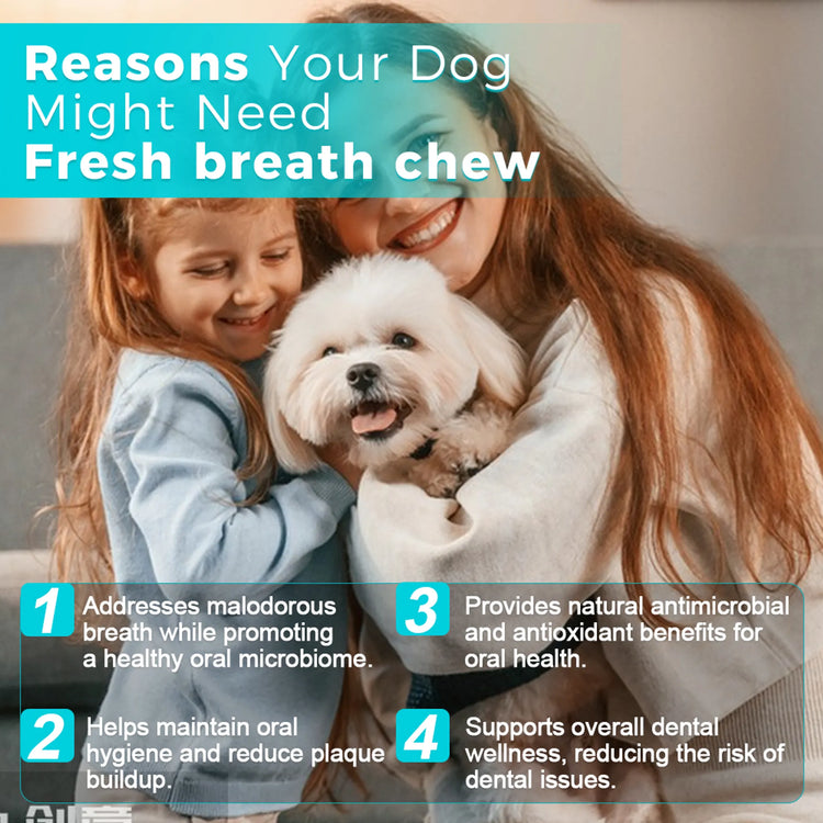 Fresh Breath Chew - 30 Chews