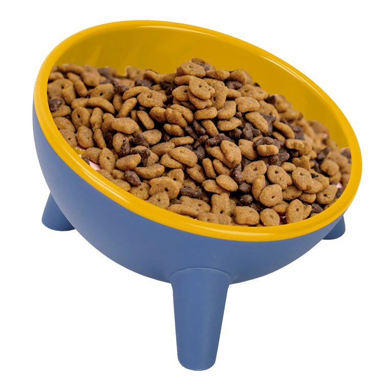 Raised Tilted Elevated Cat Food Bowl Pet