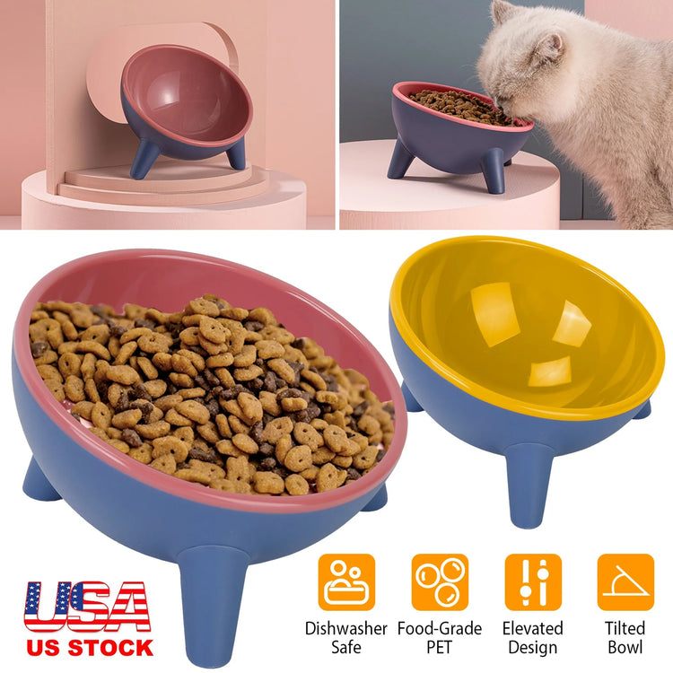 Raised Tilted Elevated Cat Food Bowl Pet