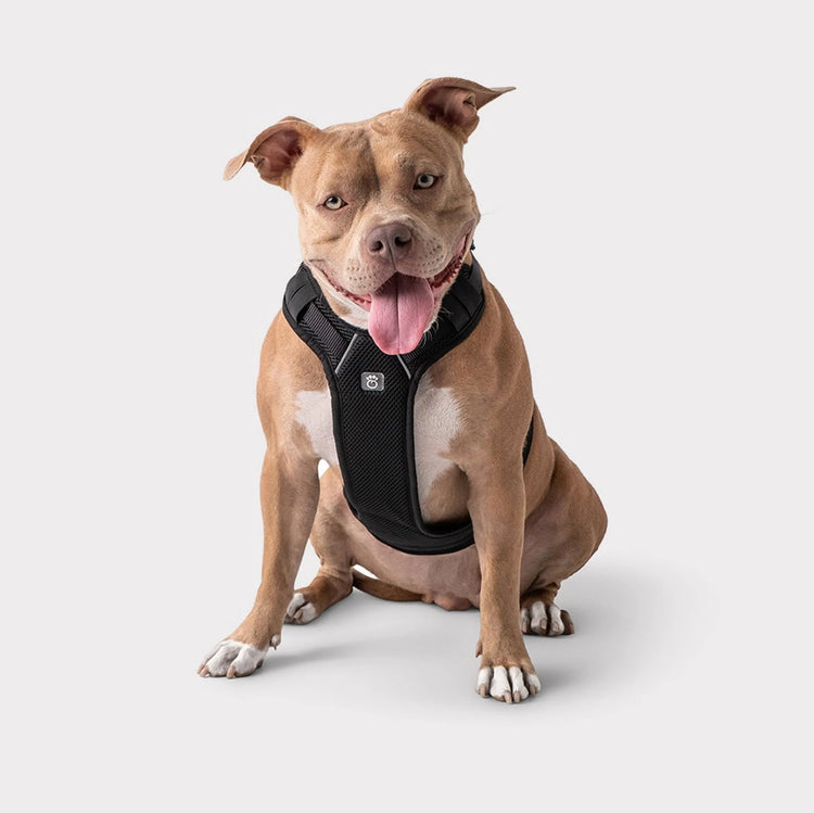 GF Pet Travel Harness