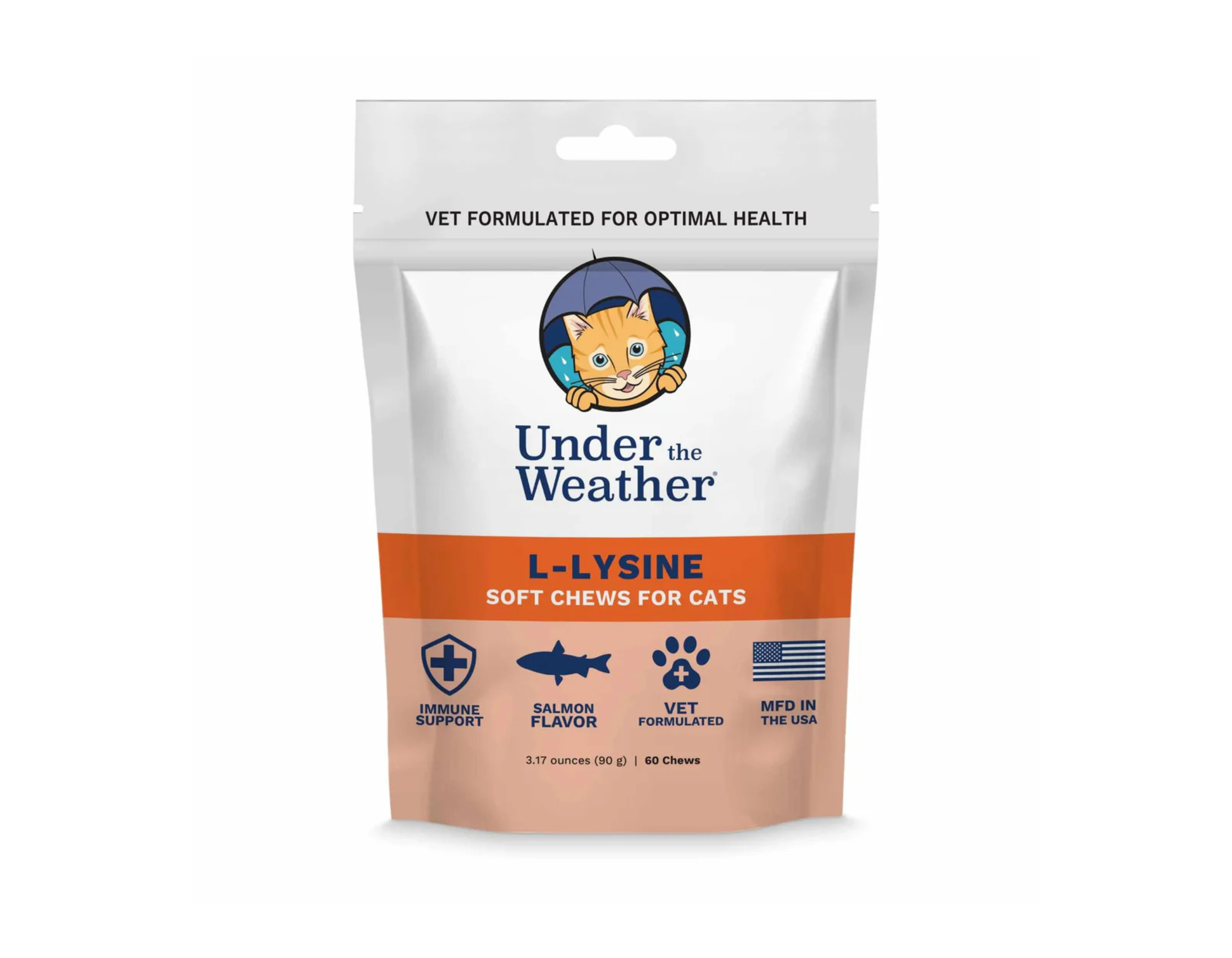 Selecting the Right Supplement for Your Dog or Cat: A Pet Owner’s Guide