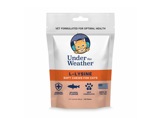 Selecting the Right Supplement for Your Dog or Cat: A Pet Owner’s Guide
