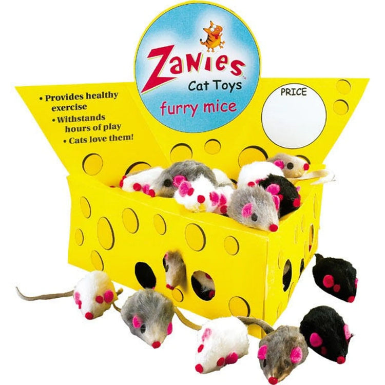 Cat Toys