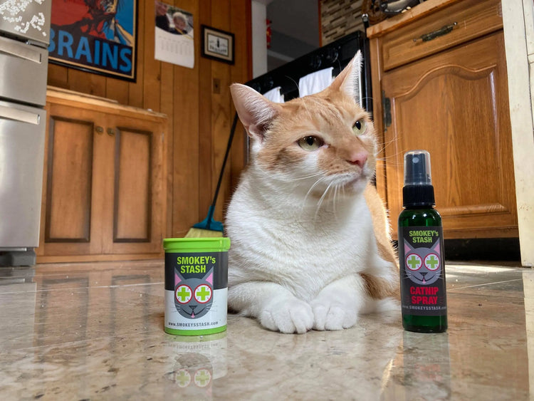 Cat Treats