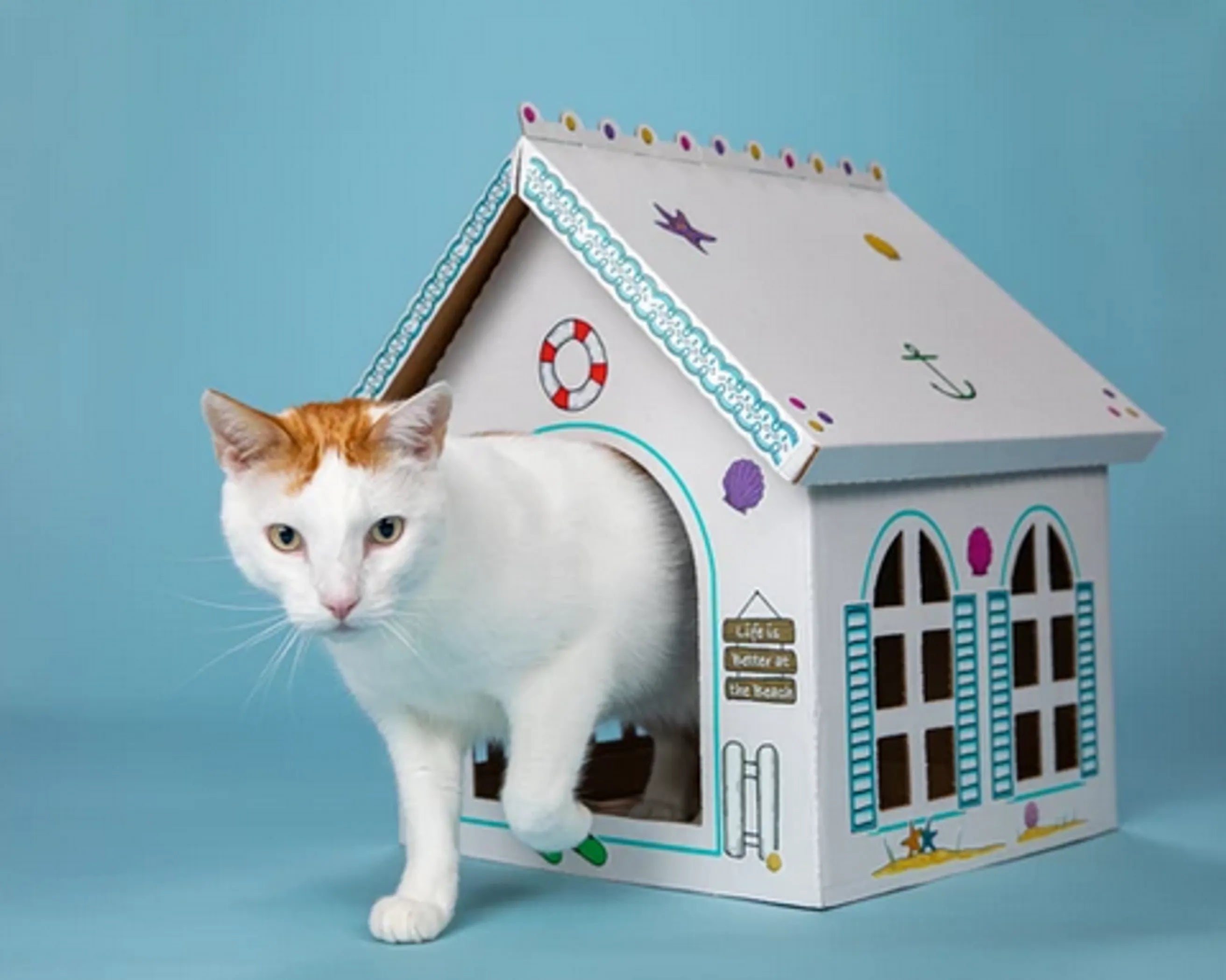 Cat Scratchers & Houses