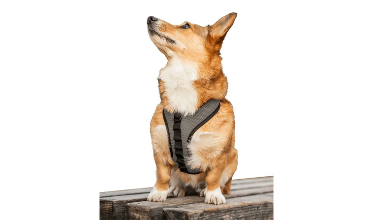 Dog Harnesses