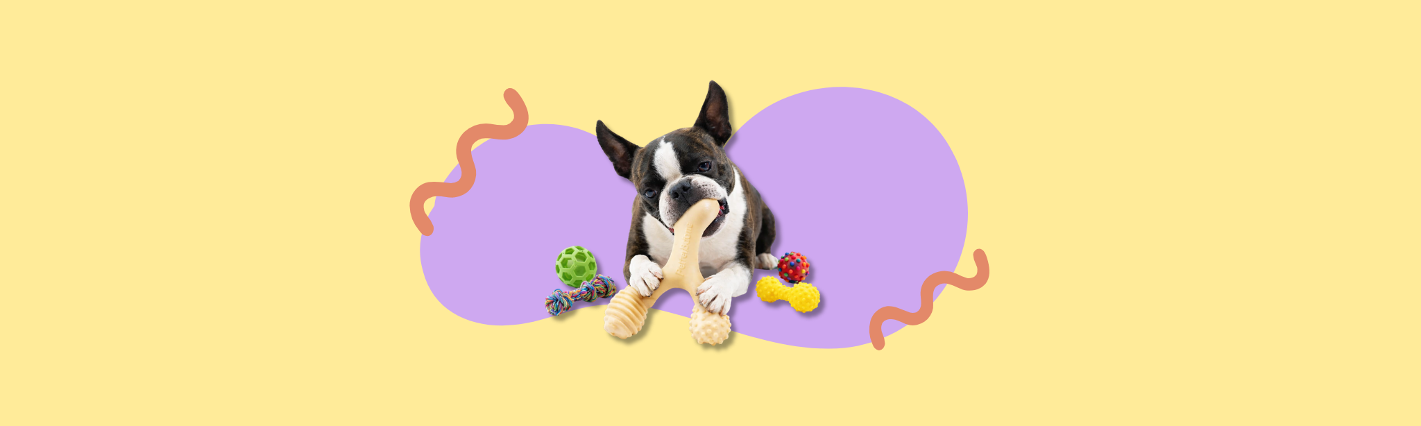 Dog Dental Care & Chews