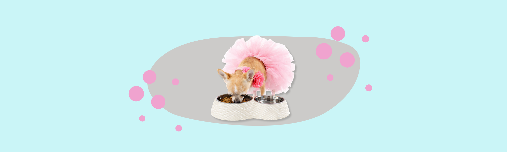 Dog Feeding & Watering Supplies