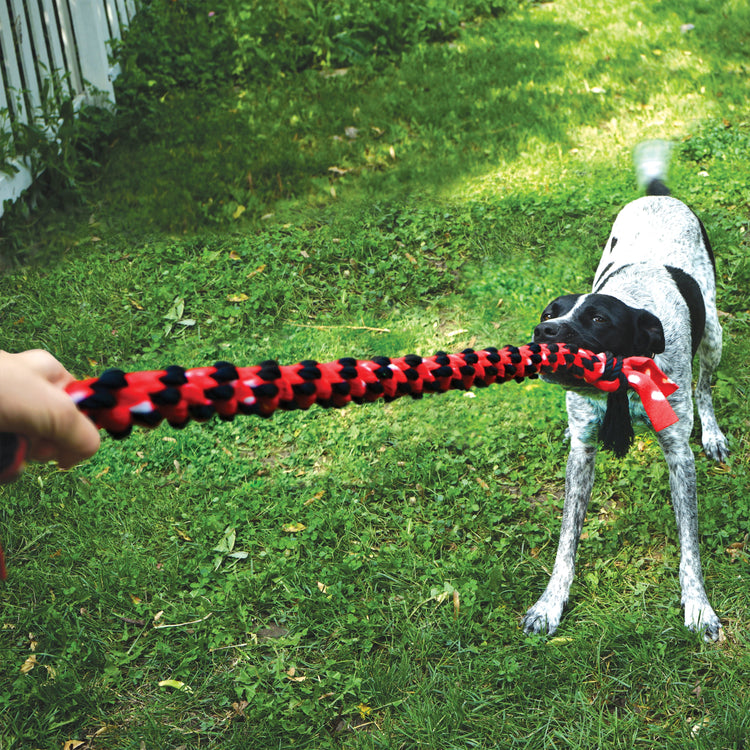 Dog Interactive Toys