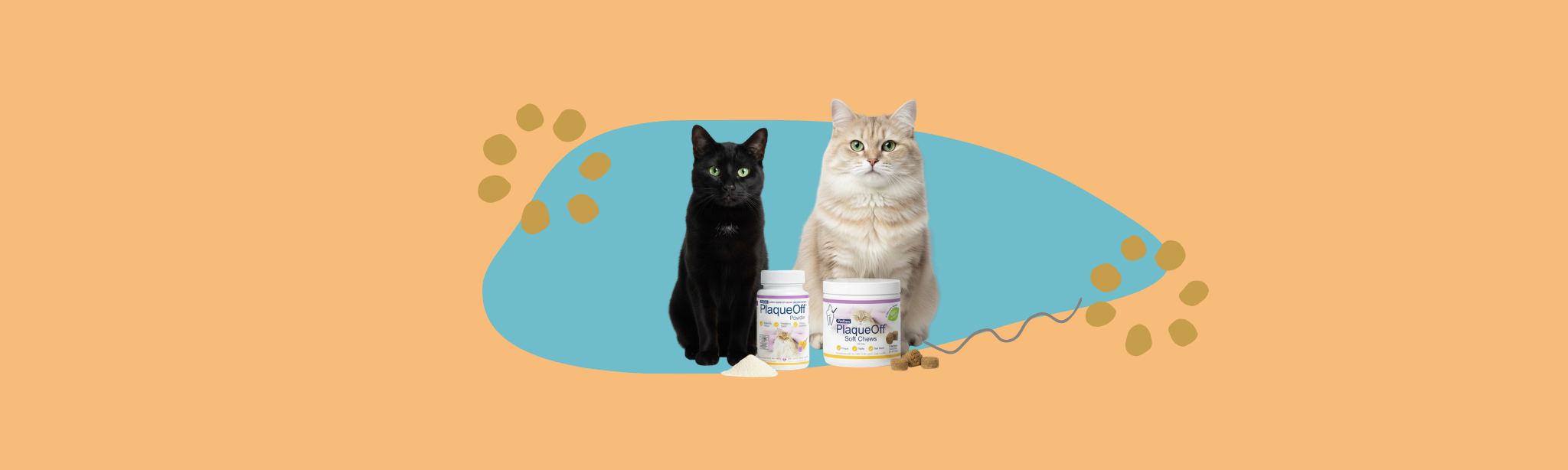 Cat Dental Care & Chews