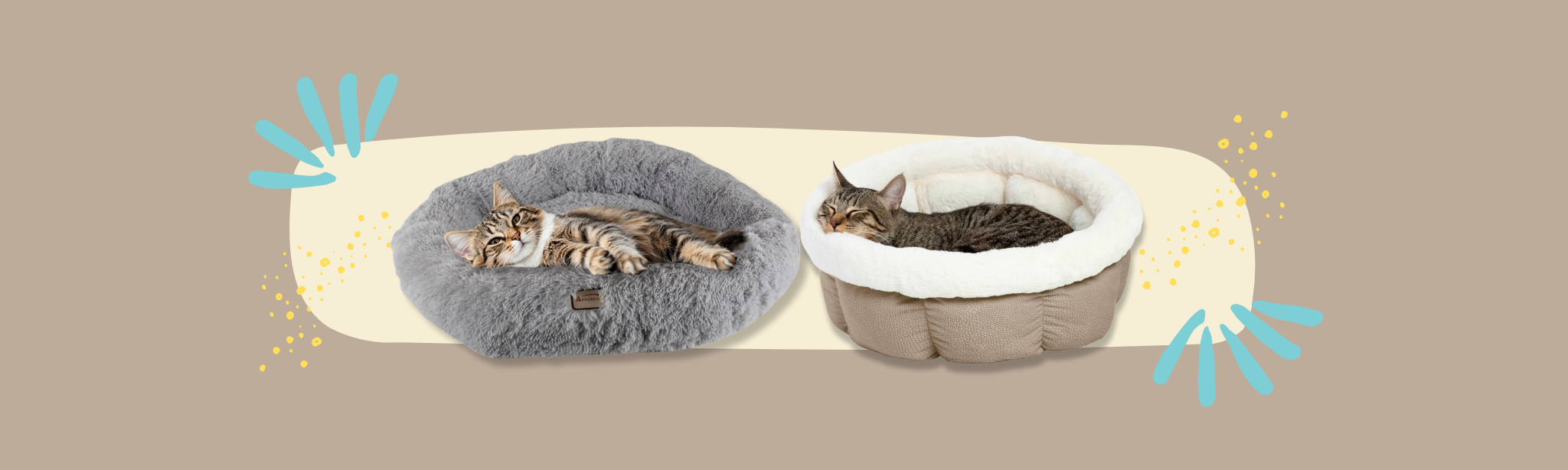 Cat Beds