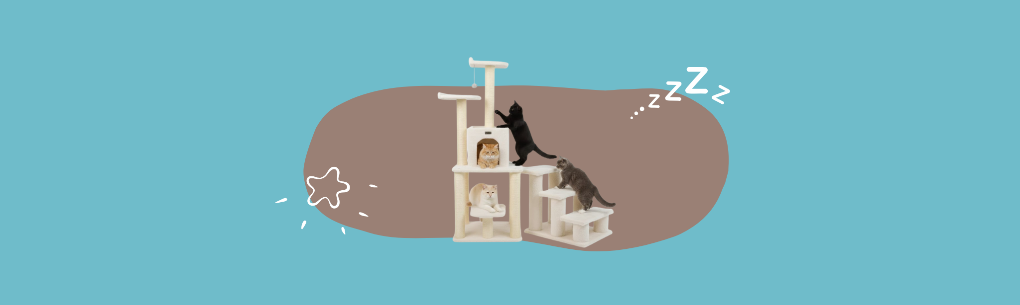 Cat Scratchers & Houses