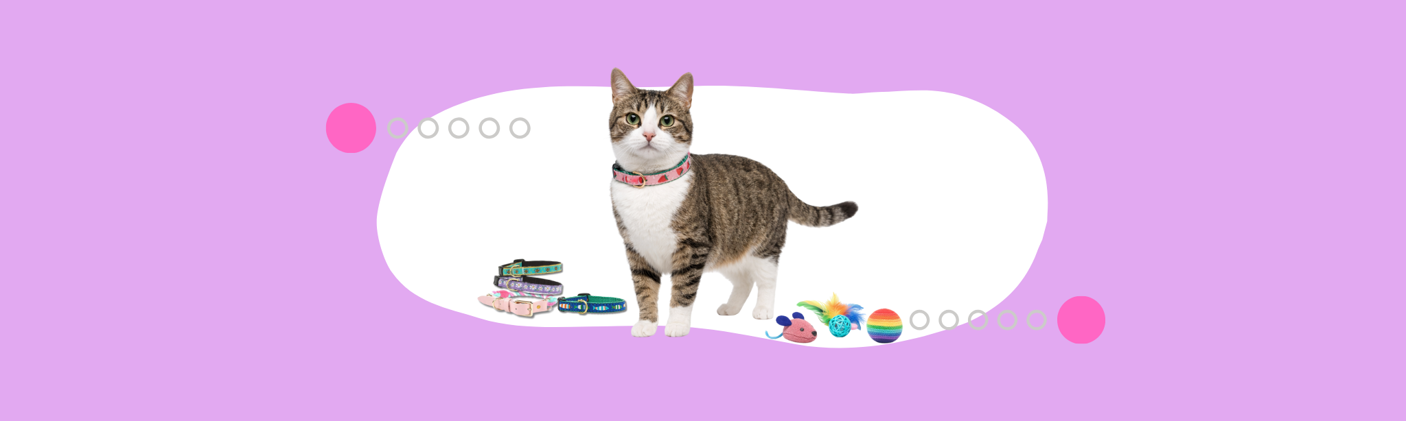 Cat Collars & Leashes