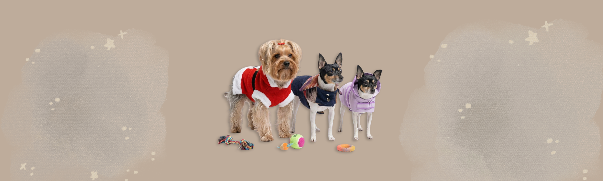 Dog Apparel & Accessories