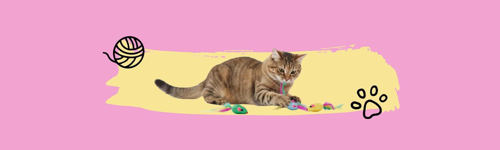 Catnip Toys & Treats