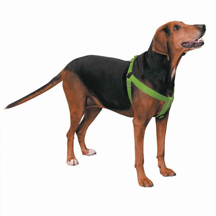 CC Nylon 2 Step Harness 15-25In