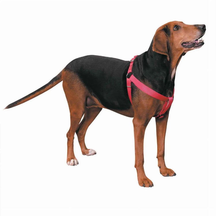 CC Nylon 2 Step Harness 15-25In
