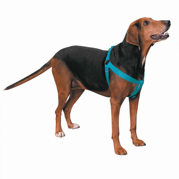 CC Nylon 2 Step Harness 15-25In