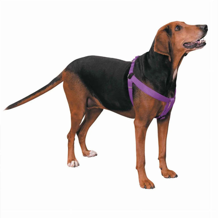 CC Nylon 2 Step Harness 15-25In