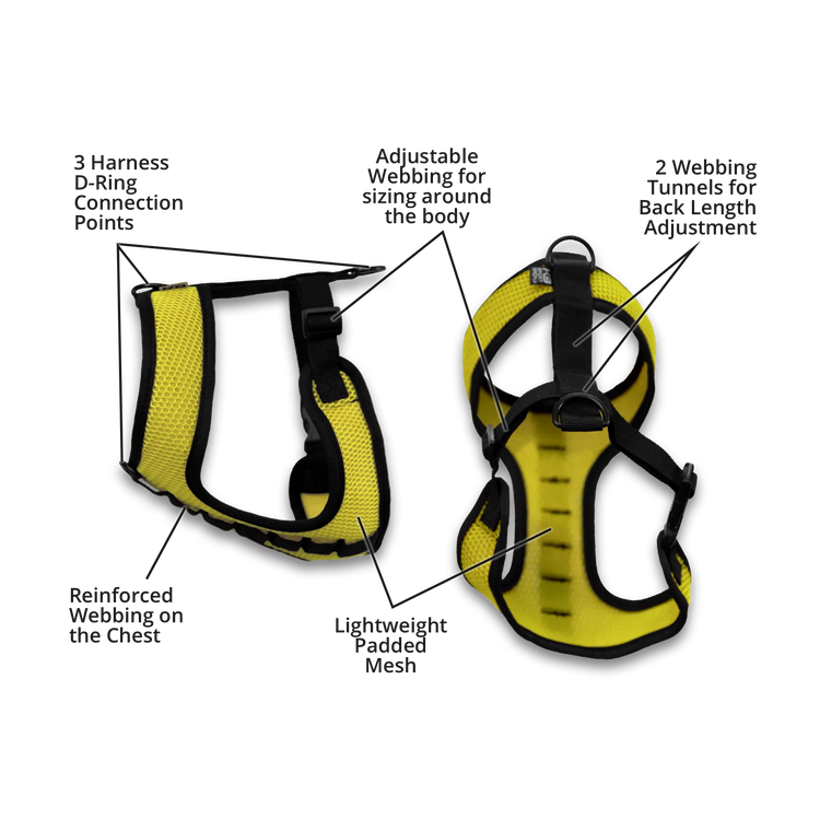 K9 Sport Harness