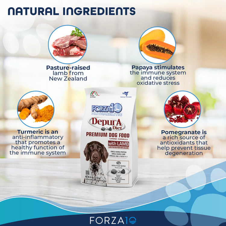 Health, Happiness & Lamb Love: Forza10 Active Depura for Your Pup! 🐾🥩✨