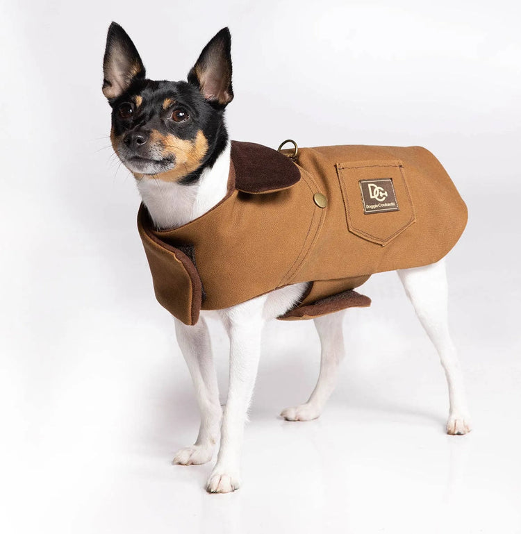 DCNY Canyon Working Coat