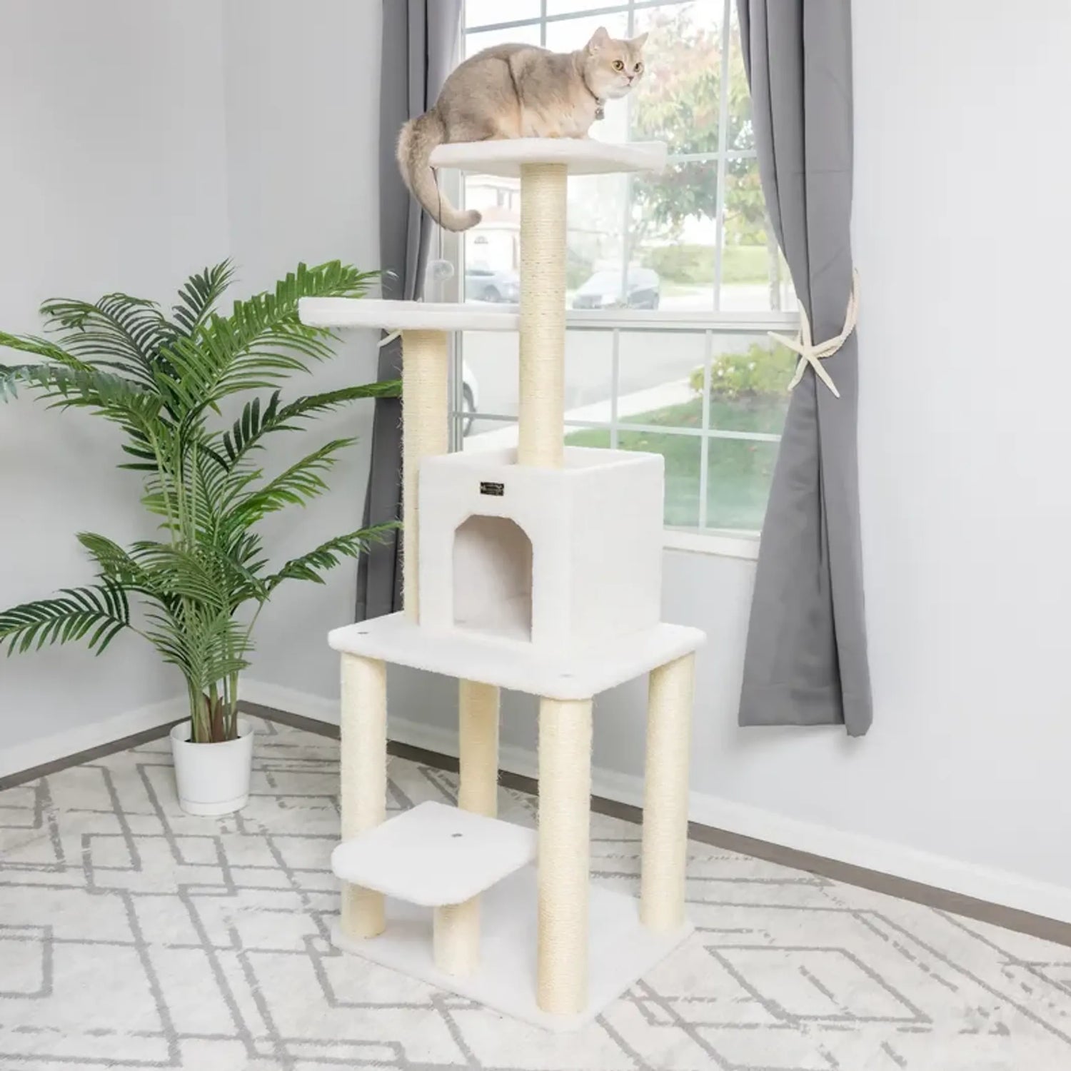 Armarkat Real Wood 62'' Classic Cat Tree 5-Level Condo