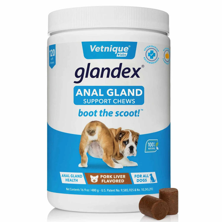 Glandex Anal Gland Support Soft Chews