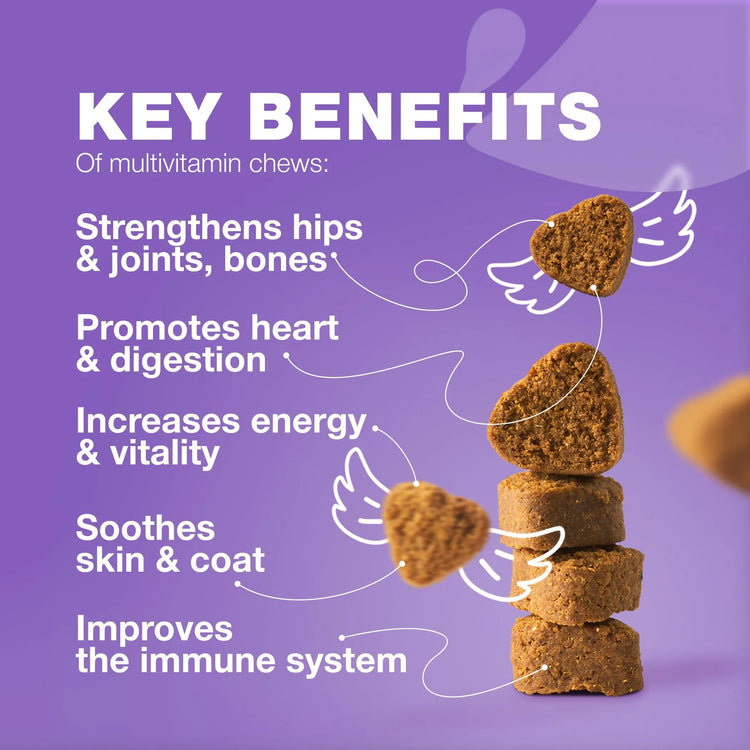 Dog Vitamins 15 in 1 Dog Multivitamin Chews