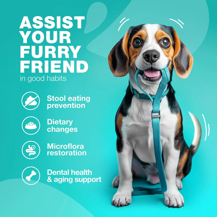 No Poo Chews for Dogs