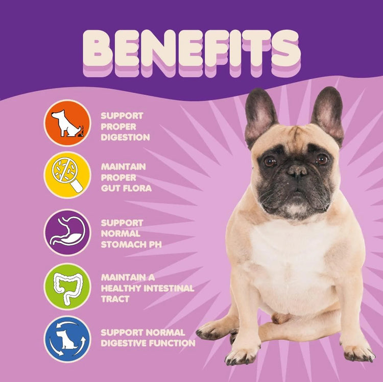 Probiotics for Dogs & Puppies