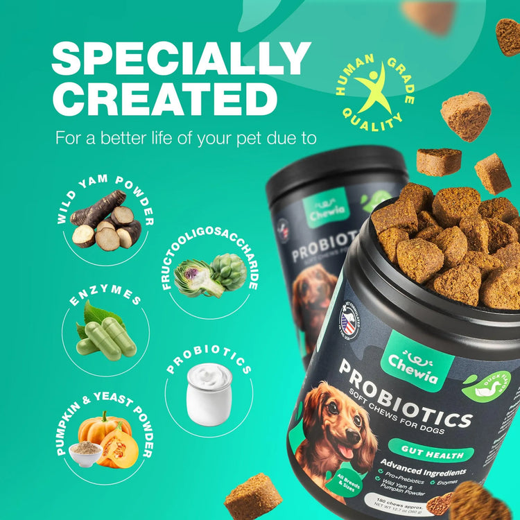Probiotics for Dogs Gut Health Digestion