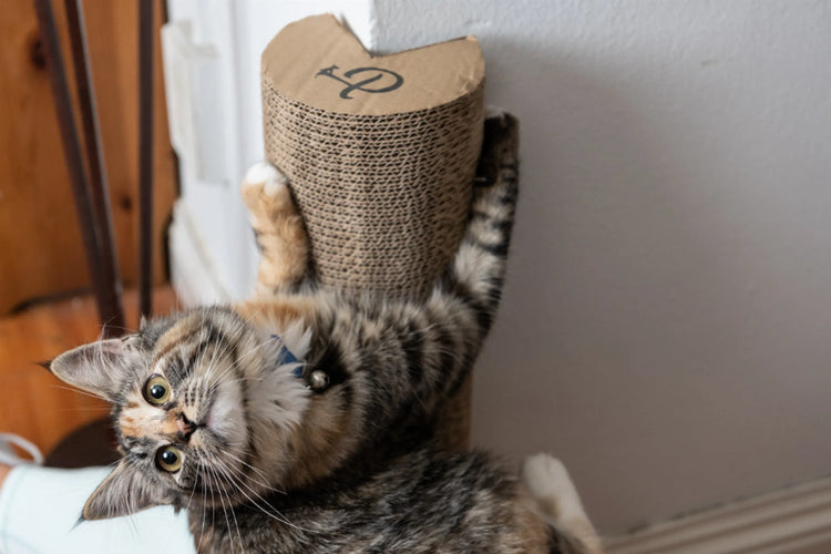 Ultimate Kitty Corner Cat Scratching Post for Happy Paws (2 pieces)