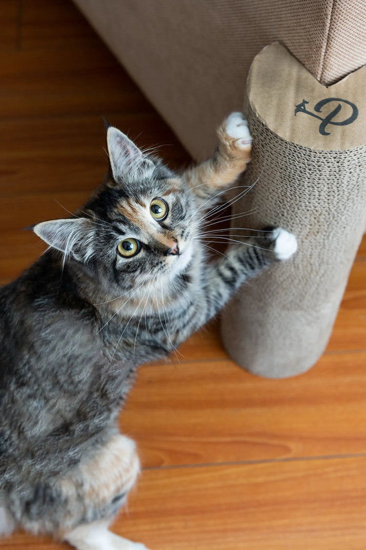 Ultimate Kitty Corner Cat Scratching Post for Happy Paws (2 pieces)