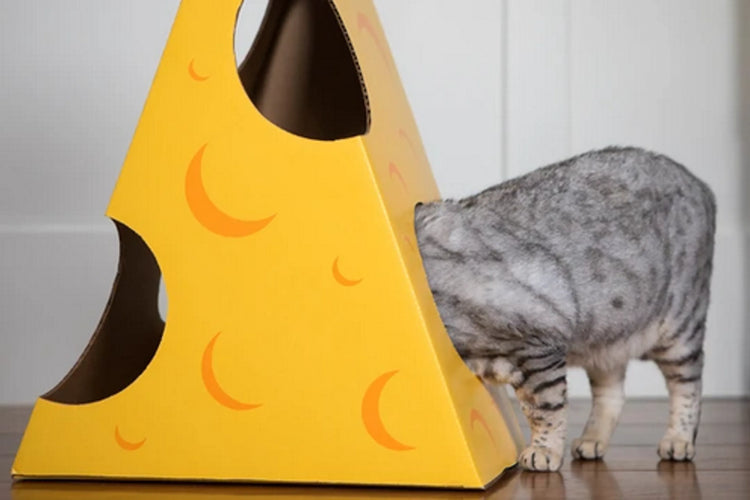"Monster Cheese Wedge Cardboard Cat House: Fun & Cozy Hideaway for Feline Friends