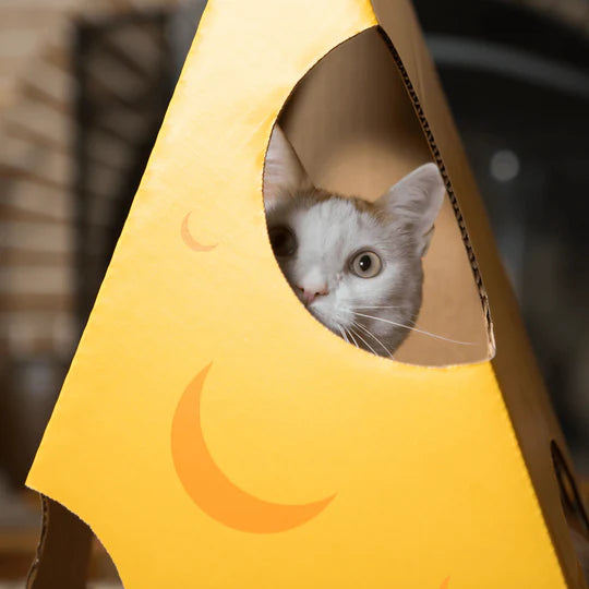"Monster Cheese Wedge Cardboard Cat House: Fun & Cozy Hideaway for Feline Friends