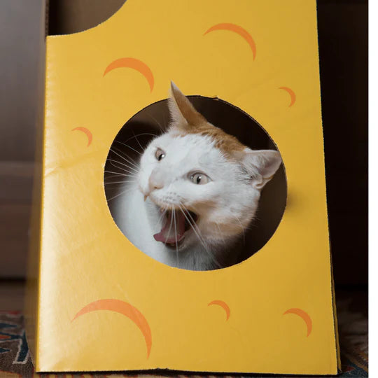 "Monster Cheese Wedge Cardboard Cat House: Fun & Cozy Hideaway for Feline Friends