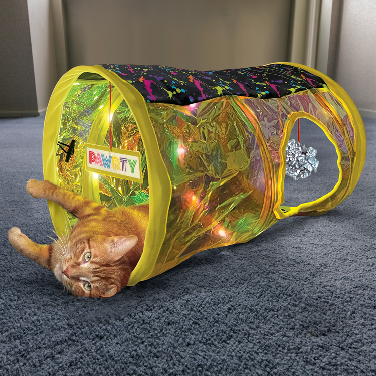 KONG® Play Spaces Rave Cave Cat Toy - Interactive Fun for Your Feline Friend