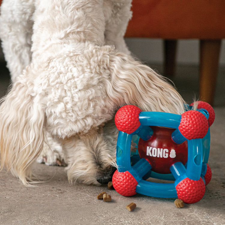 KONG® Rewards Tinker Dog Enrichment Toy - Interactive Fun for Engaged Playtime